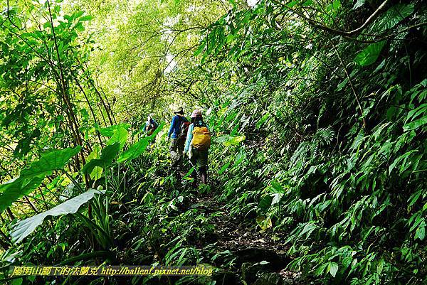 P1560892.jpg P1560892.jpg