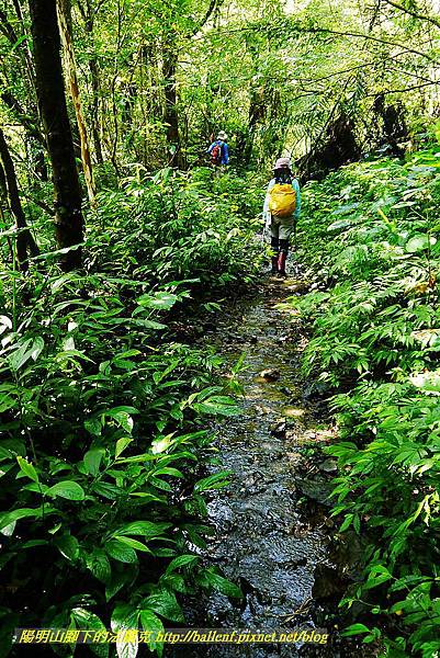 P1560893.jpg P1560893.jpg