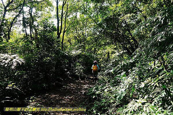 P1560895.jpg P1560895.jpg