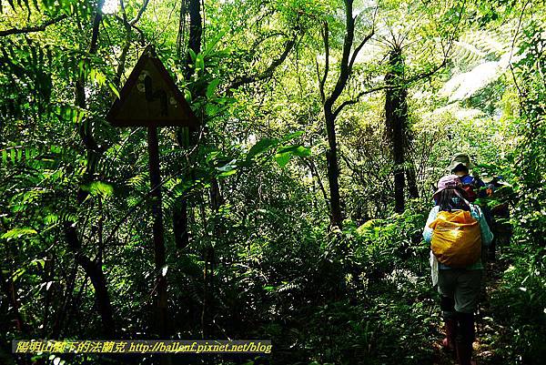 P1560896.jpg P1560896.jpg