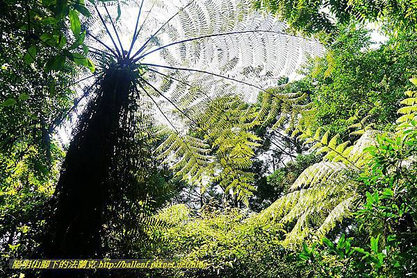 P1560897.jpg P1560897.jpg