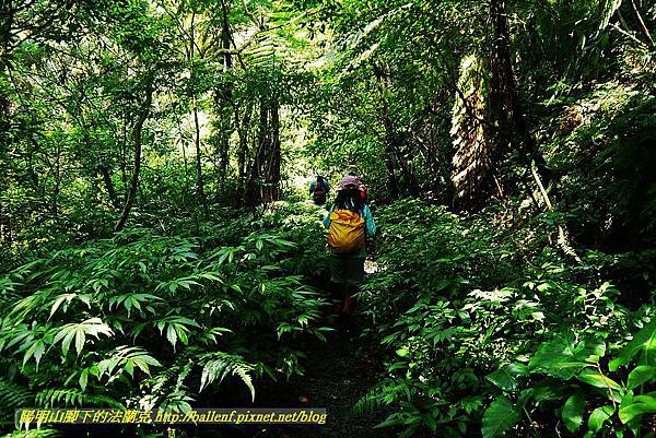 P1560898.jpg P1560898.jpg