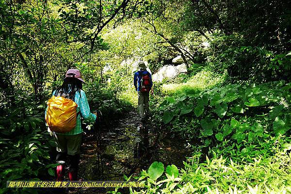 P1560902.jpg P1560902.jpg