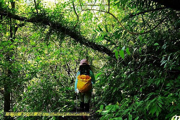 P1560899.jpg P1560899.jpg