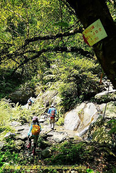 P1560903.jpg P1560903.jpg