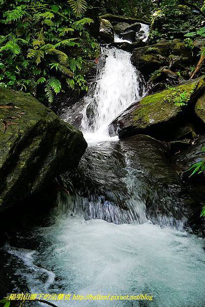 P1560917.jpg P1560917.jpg