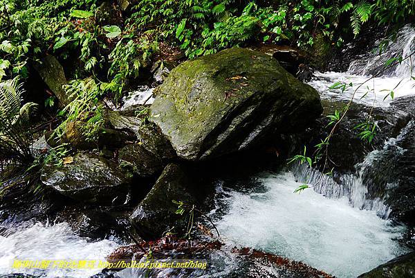 P1560918.jpg P1560918.jpg