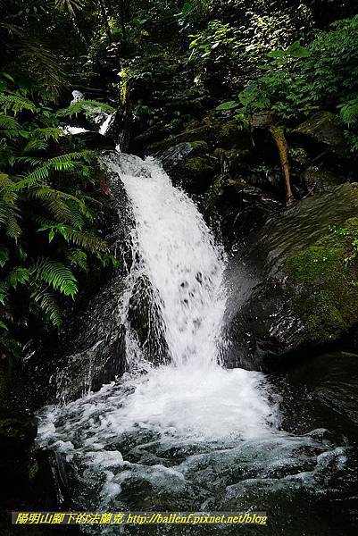 P1560919.jpg P1560919.jpg