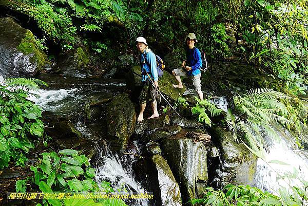 P1560925.jpg P1560925.jpg