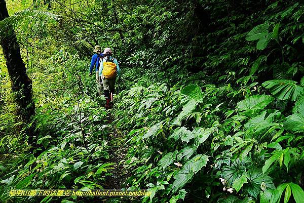 P1560930.jpg P1560930.jpg