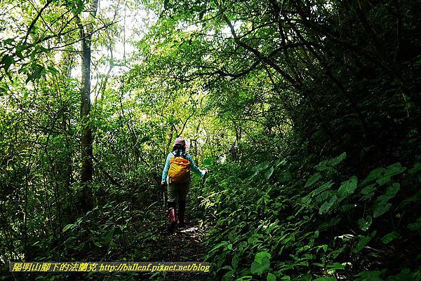 P1560931.jpg P1560931.jpg