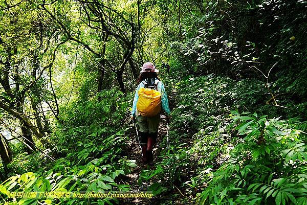 P1560934.jpg P1560934.jpg