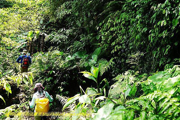 P1560935.jpg P1560935.jpg