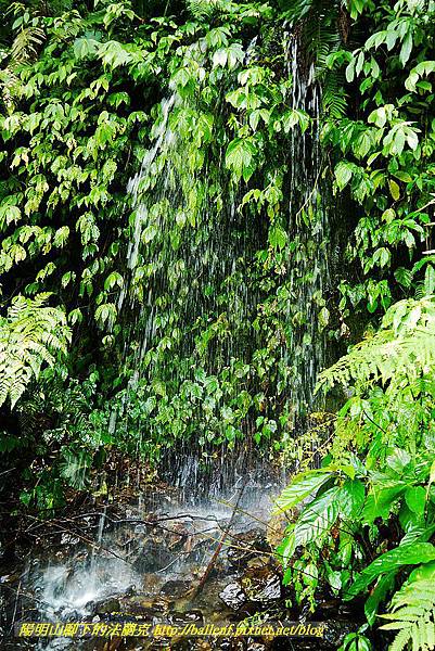 P1560936.jpg P1560936.jpg