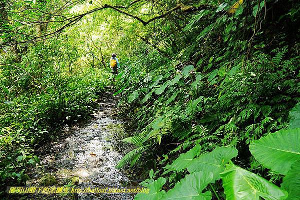 P1560937.jpg P1560937.jpg