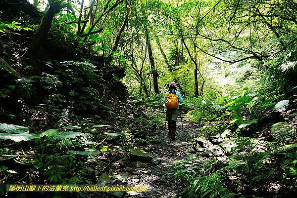 P1560941.jpg P1560941.jpg