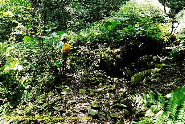 P1560942.jpg P1560942.jpg