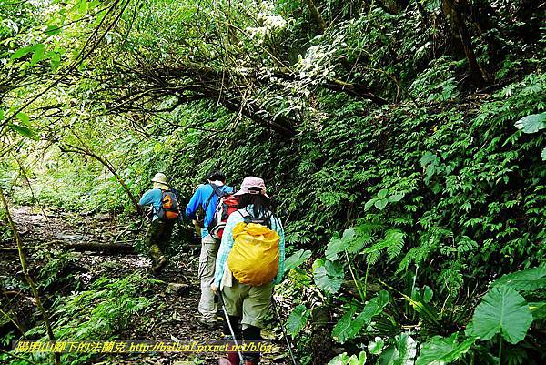 P1560943.jpg P1560943.jpg