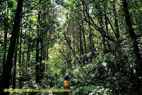 P1560944.jpg P1560944.jpg