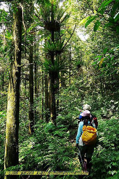 P1560945.jpg P1560945.jpg