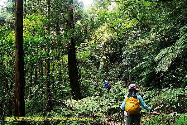 P1560946.jpg P1560946.jpg