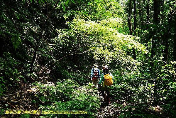 P1560948.jpg P1560948.jpg