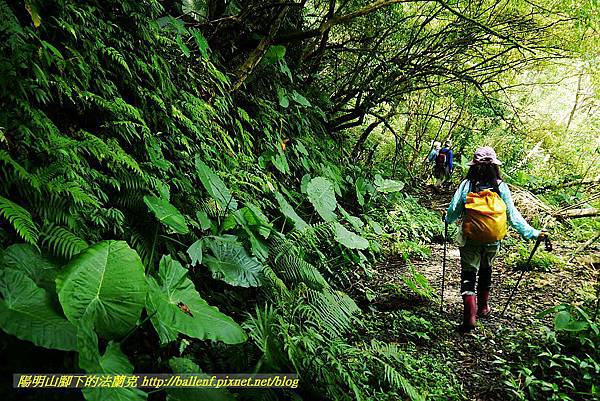 P1560951.jpg P1560951.jpg