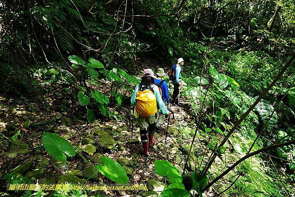 P1560952.jpg P1560952.jpg