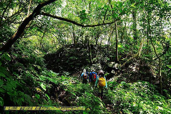 P1560953.jpg P1560953.jpg