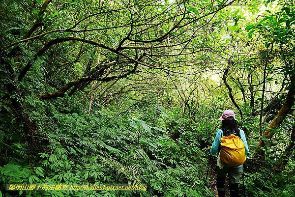 P1560956.jpg P1560956.jpg