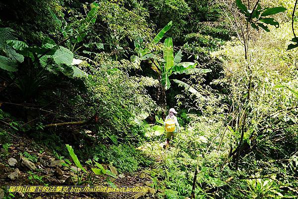 P1560957.jpg P1560957.jpg