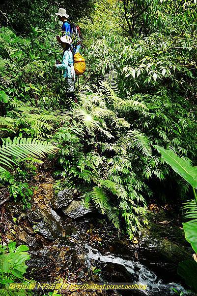 P1560959.jpg P1560959.jpg