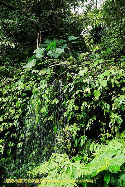 P1560960.jpg P1560960.jpg