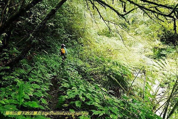 P1560964.jpg P1560964.jpg