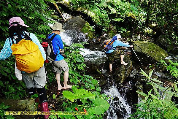 P1560967.jpg P1560967.jpg