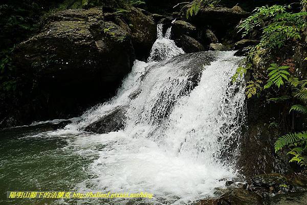 P1560972.jpg P1560972.jpg