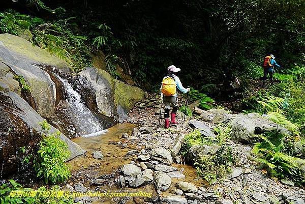 P1560973.jpg P1560973.jpg