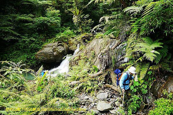 P1560974.jpg P1560974.jpg