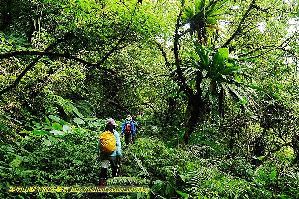 P1560975.jpg P1560975.jpg