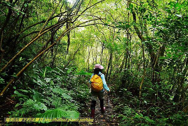 P1560976.jpg P1560976.jpg