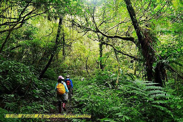 P1560977.jpg P1560977.jpg