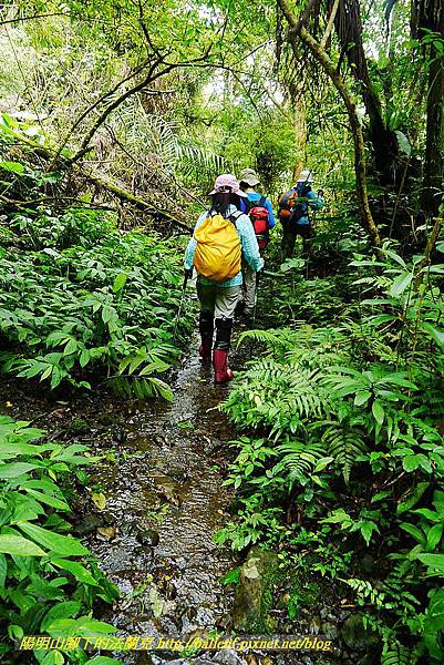 P1560978.jpg P1560978.jpg