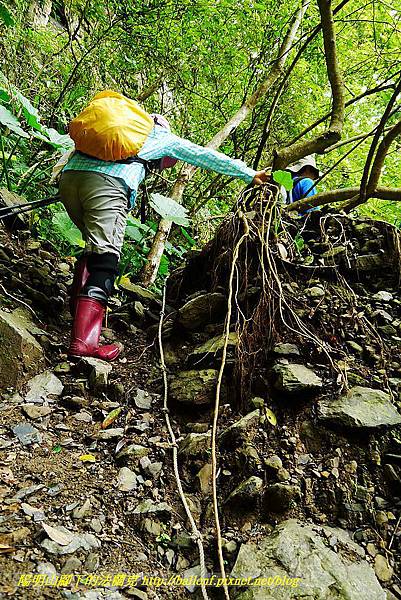 P1560981.jpg P1560981.jpg