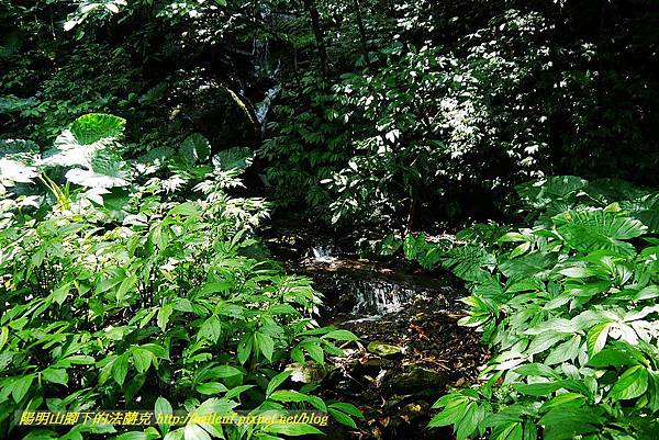 P1560982.jpg P1560982.jpg