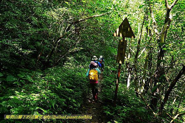 P1560986.jpg P1560986.jpg