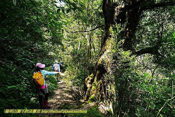 P1560987.jpg P1560987.jpg