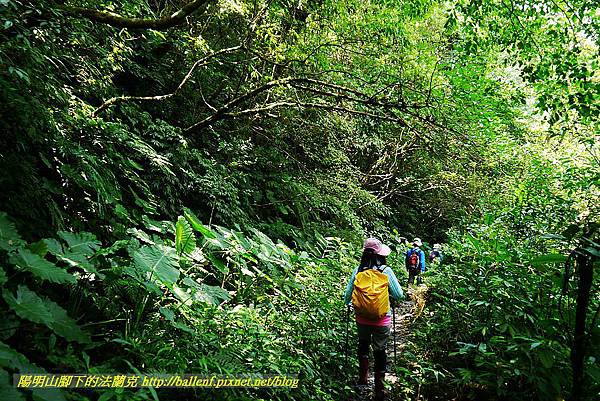 P1560988.jpg P1560988.jpg