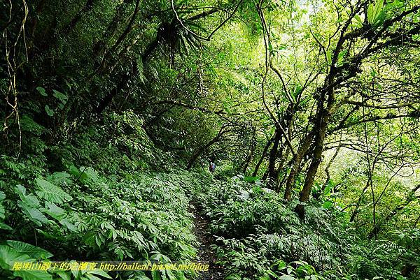 P1560989.jpg P1560989.jpg