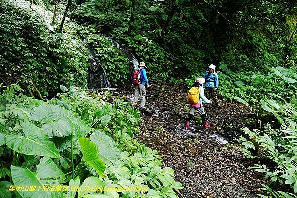 P1560990.jpg P1560990.jpg