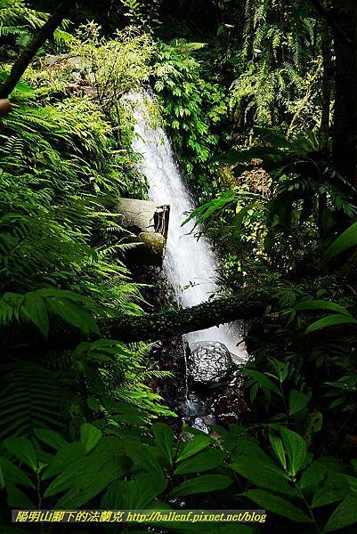 P1560991.jpg P1560991.jpg